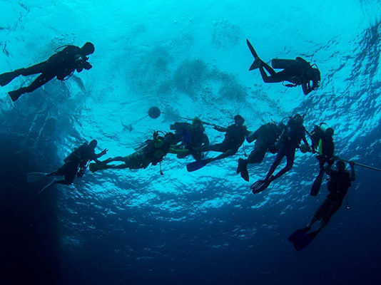 padi divemaster course sri lanka hikkaduwa trincomalee