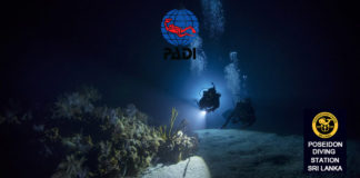 padi night dive course srilanka hikkaduwa trincomalee sri lanka