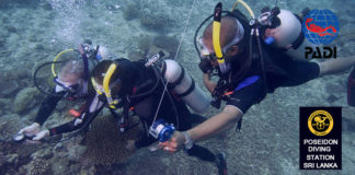 Search and Recovery Diver specialty course