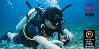 PADI Underwater Navigator specility course sri lanka