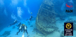 padi Wreck Diver speciality course sri lanka hikkaduwa nilaveli