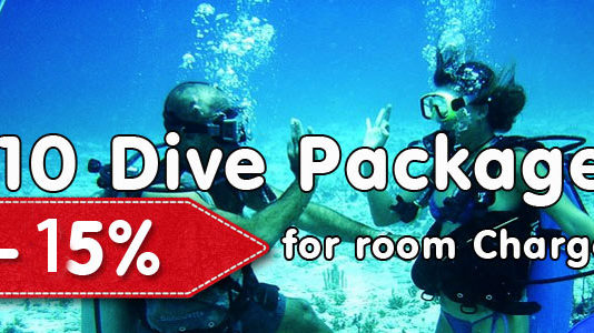 If two people get a 10 dive package each, get 15% off room charge (based on 2 people sharing and not available during Christmas and New Year) This offer is only available in Hikkaduwa.